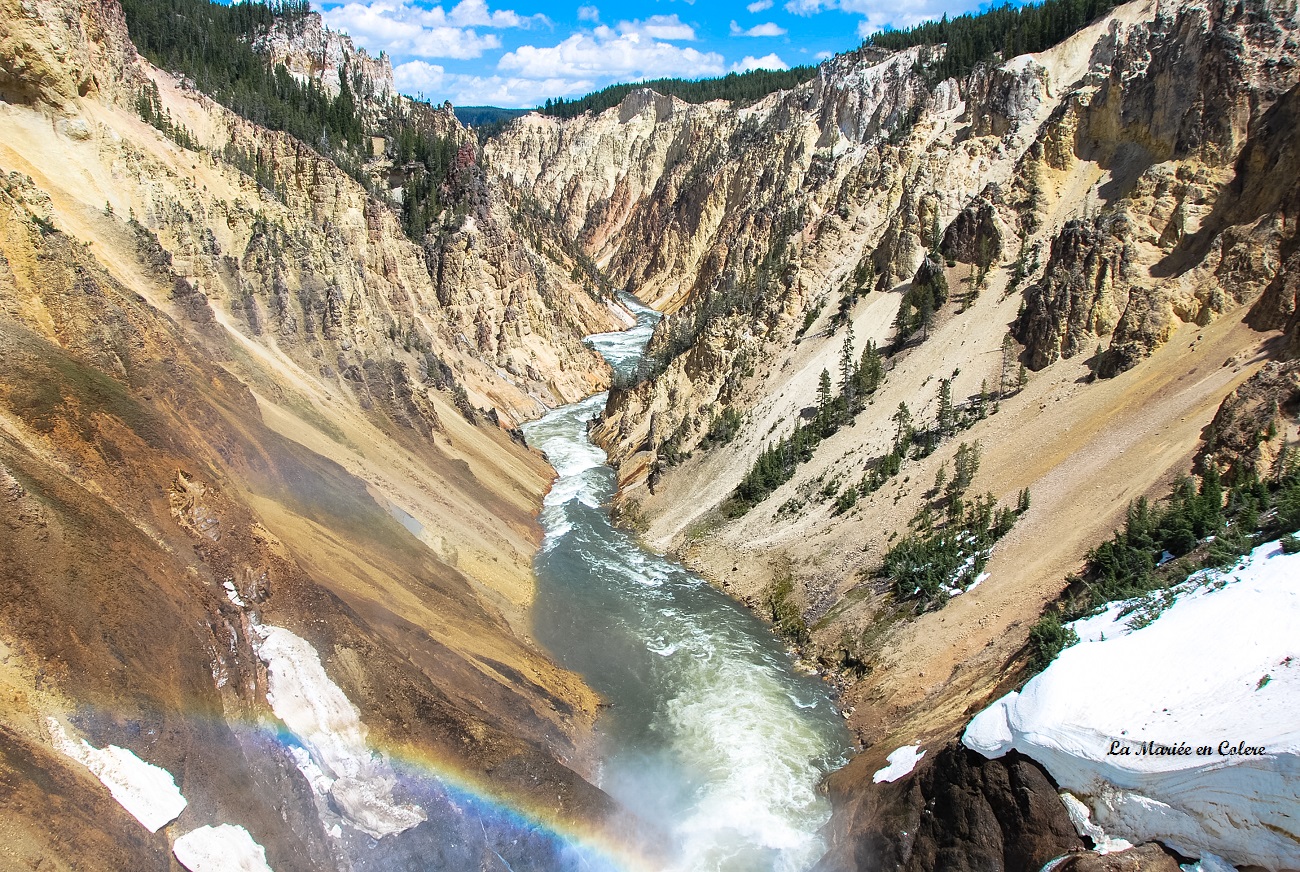 Voyage de Noce aux Etats-Unis : Yellowstone